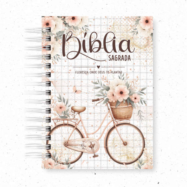 BICICLETA MOD.02